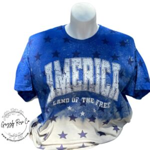 America….Land of the Free Graphic Tee
