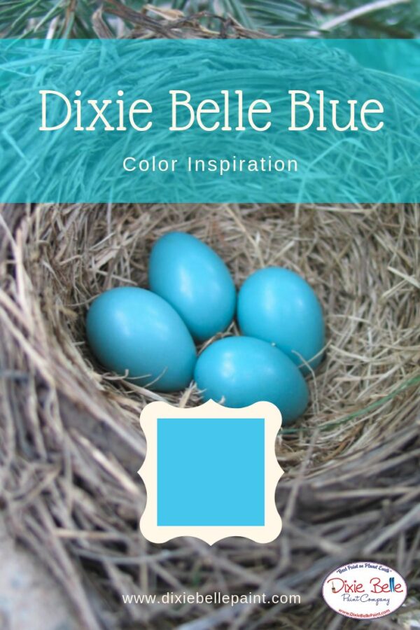 Dixie Belle Chalk Mineral Paint – DIXIE BELLE BLUE