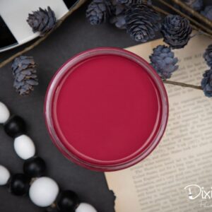 Dixie Belle Chalk Mineral Paint – PLUM CRAZY
