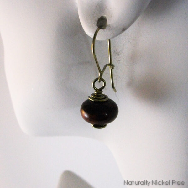 Tiger Eye Niobium Earrings with Loop n Latch Interchangeable Earwires