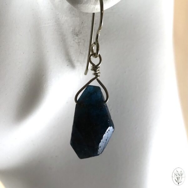 Brazilian Apatite Nickel-Free Silver Earrings