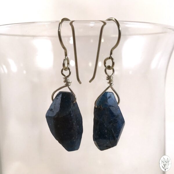 Brazilian Apatite Nickel-Free Silver Earrings