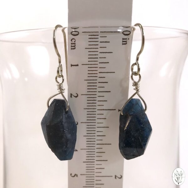 Brazilian Apatite Nickel-Free Silver Earrings