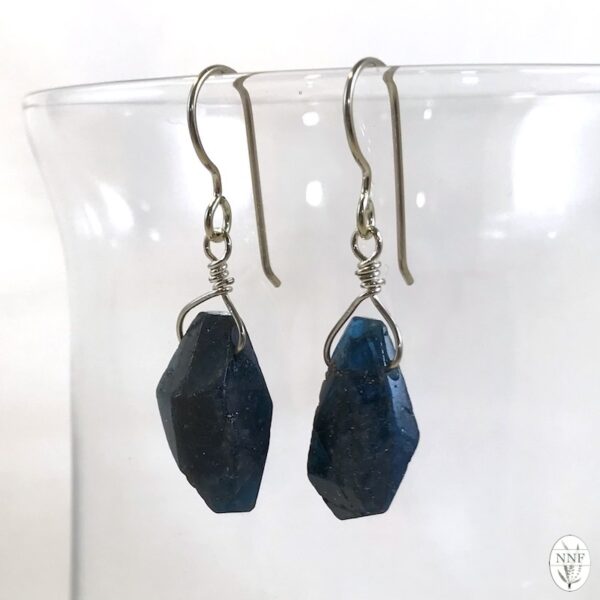 Brazilian Apatite Nickel-Free Silver Earrings