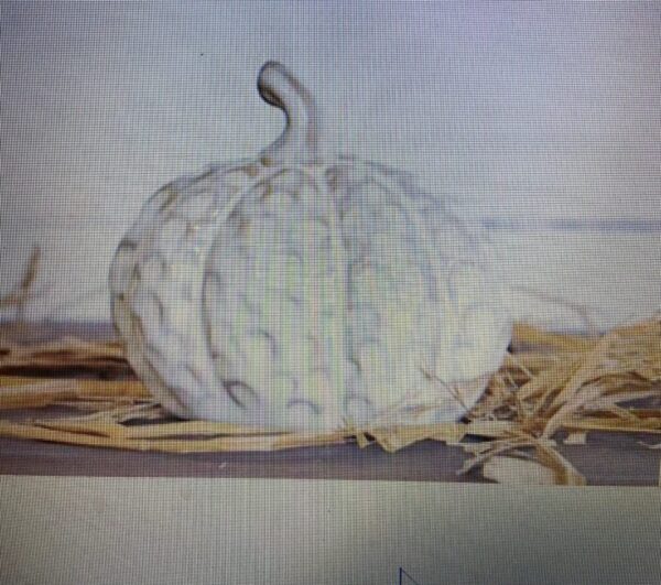 White Dimple pumpkin