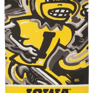 Iowa Hawkeyes Flag 2 Sided Justin Patten House Banner