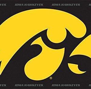 Iowa Hawkeyes Flag 3×5 Gold Hawk Border