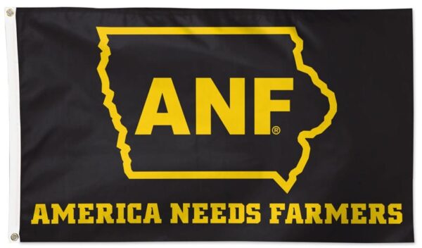 Iowa Hawkeyes Flag 3×5 ANF State of Iowa