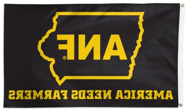 Iowa Hawkeyes Flag 3×5 ANF State of Iowa