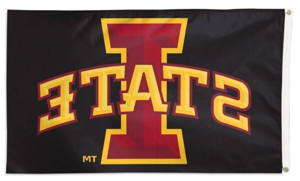 Iowa State Flag 3×5 I State Logo on Black