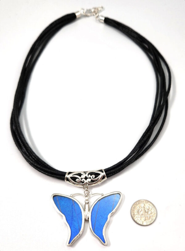 Blue Morpho Butterfly Necklace with real wings – no butterflies are harmed