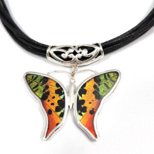 Multicolor Butterfly Necklace made with real wings – no butterflies are harmed
