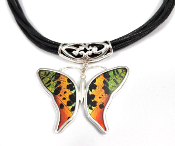 Multicolor Butterfly Necklace made with real wings – no butterflies are harmed