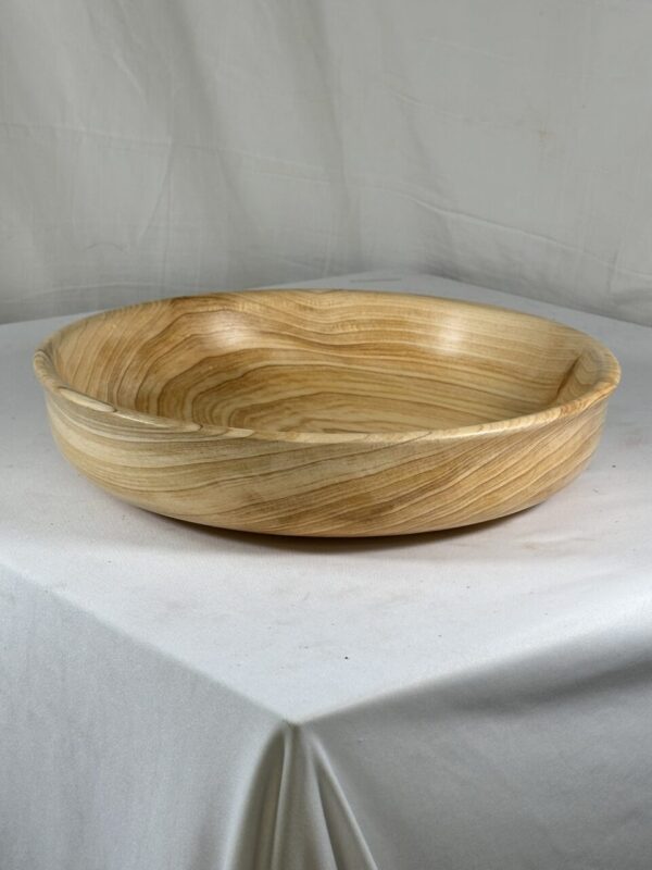 Bald Cypress Salad or Serving Bowl