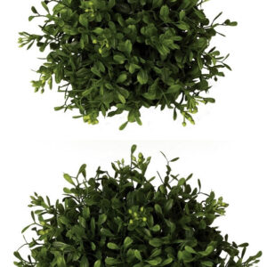 Boxwood Orb