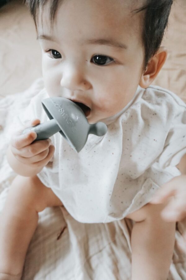 Mushroom Teether-Stone