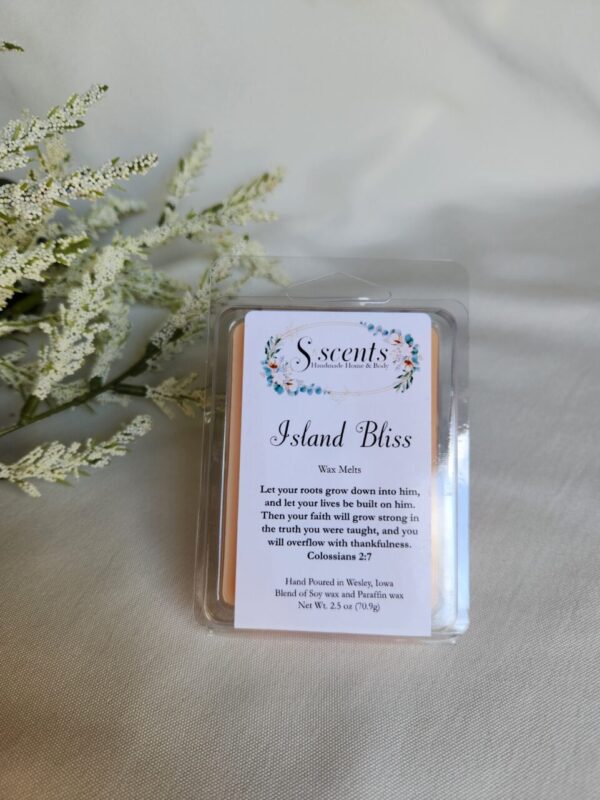 2.5oz Soy Blend Wax Melts