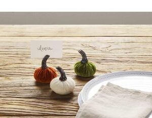 Velvet Pumpkin Place Card