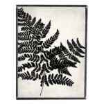 Vintage Style Print, Fern