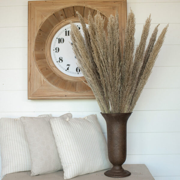 Pampas Grass