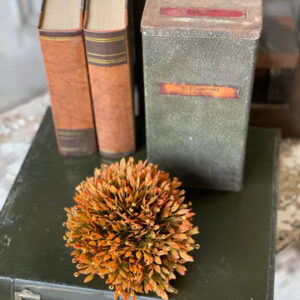 Blazing Seed Head Half Sphere