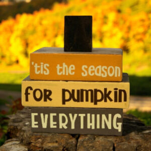 Tis The Season For Pumpkin Everything Stacker Blocks | Farmhouse Blocks | Fall Decor | Pumpkin Decor