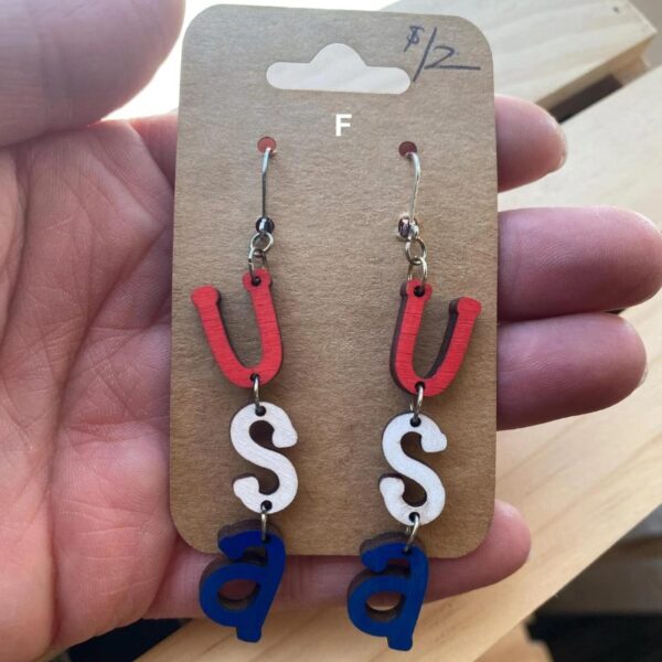 Election Earrings