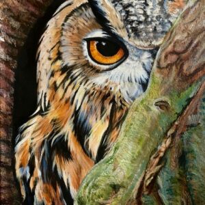 Eye of the Owl by Deb Weiser