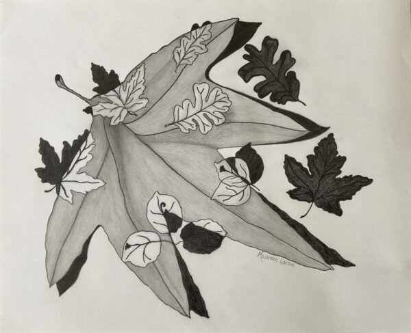 Original Pencil Drawing ~ Leaves