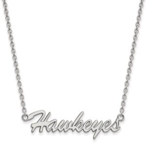 Hawkeyes necklace in sterling silver