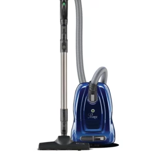 Riccar Canister Vacuum with Turbo Brush