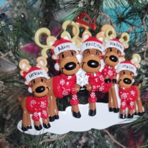 Personalized Family Ornaments