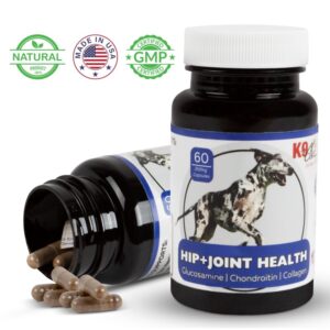 Hip & Joint Health Supplement