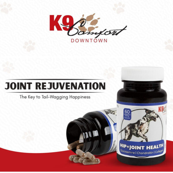 Hip & Joint Health Supplement