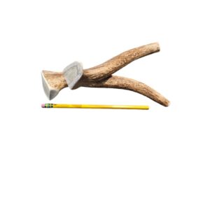 Lg Whole Antler Dog Chew