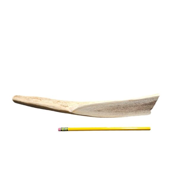 Large Partial Split Antler Dog Chew