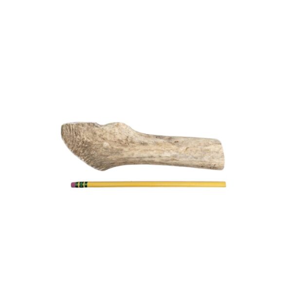 Medium Split Antler Dog Chew