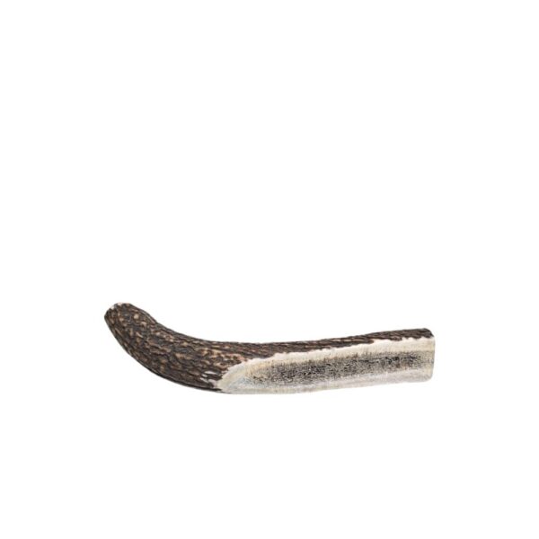 Large Partial Split Antler Dog Chew