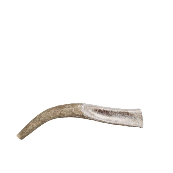 Large Partial Split Antler Dog Chew