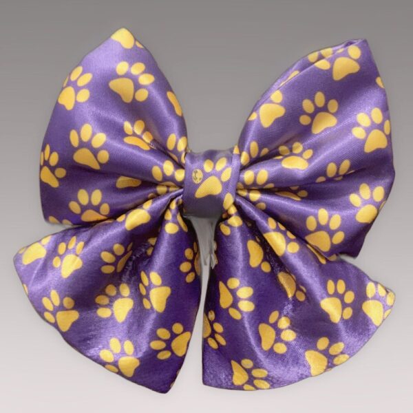 Pet Bowtie | “GO TEAM” | Billy Jax Dog Apparel