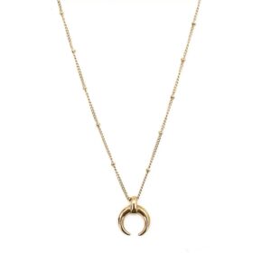 Darcie Crescent Moon Necklace