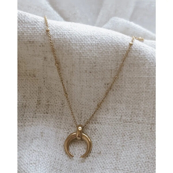 Darcie Crescent Moon Necklace