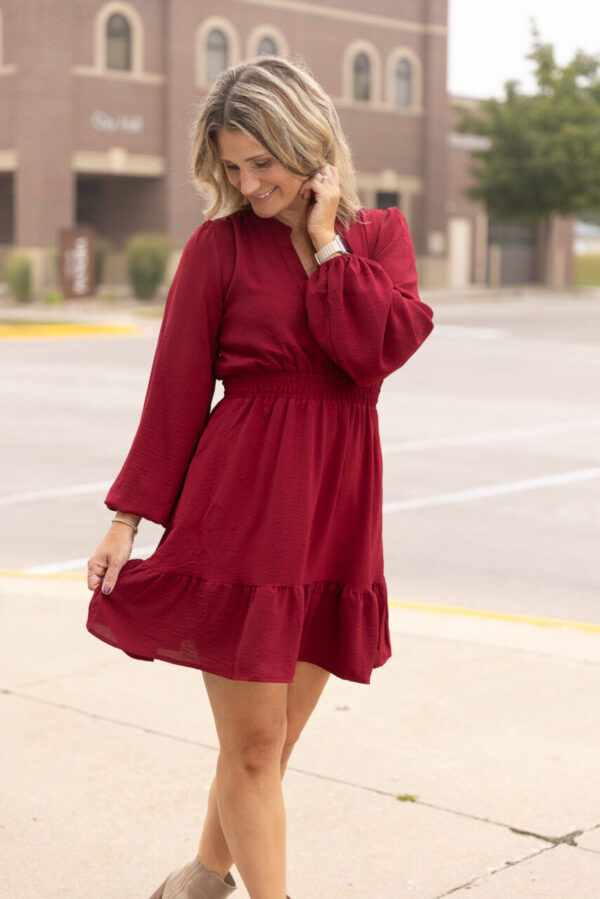 Annie Burgundy Woven Dress