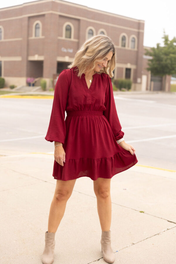 Annie Burgundy Woven Dress