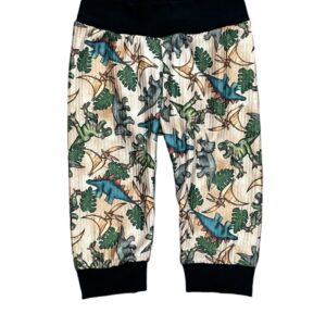 Dinosaur • infant/toddler Joggers