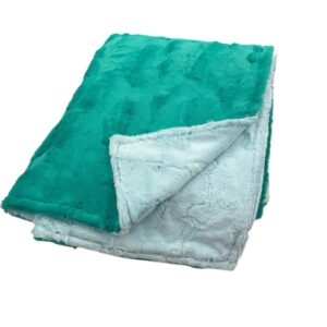 Green •Duo• Toddler Sized Minky Blanket