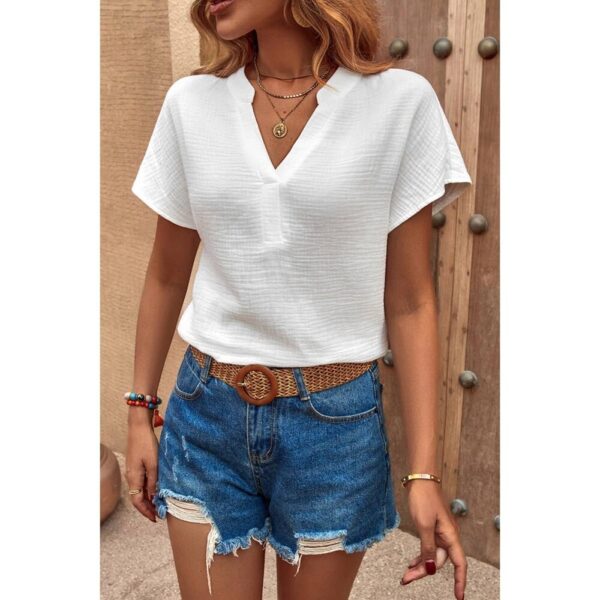 Bat Sleeve V Neck Loose Solid Blouse