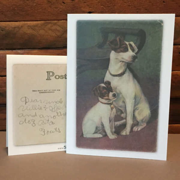 2 dogs vintage postcard reproduction