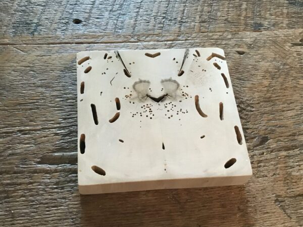 Natural Barn Beam Trivet #2