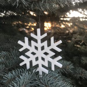 Snowflake (Design#4)